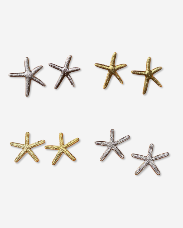 Aretas Estrella De Mar